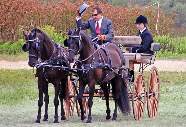 MorganCarriages